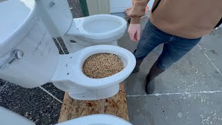 What toilet should I buy 3 different brands compared [upl. by Edwin]