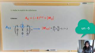 ¿Qué es un adjuntoadjunta de una matriz y cómo hallarlo [upl. by Aihsenor115]