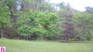 North Central Regional Sporting Clays Championship Beretta Preliminary 05312024 Woods amp Meadow [upl. by Emanuel]