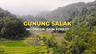 HALIMUN SALAK MOUNTAIN NATIONAL PARK INDONESIA [upl. by Niamrej]