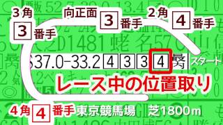 新聞 競馬ブックの見方 成績欄 ３行目 [upl. by O'Shee]