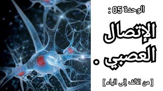 الوحدة 5  الإتصال العصبي  من الألف إلى الياء [upl. by Frolick]