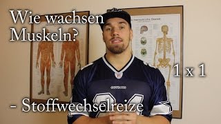 Wie wachsen Muskeln 1 x 1  Stoffwechselreize [upl. by Nelli395]