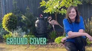 Planting Ground Cover Herbs Zinnias amp A Miniature Ficus 🌸🌺 [upl. by Eelram]