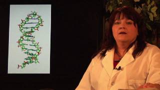 DNA Structure amp Testing  What Is Recombinant DNA Technology [upl. by Carlee]