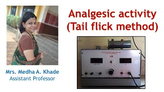 Analgesic Activity Tail flick method [upl. by Hasina]