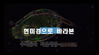 현미경으로 바라본 세상2편수족관속 원생생물섬모충윤충편모충규조류 [upl. by Shakti598]