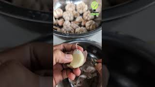 Cara Mengupas Kulit Bawang dengan Cepat Menggunakan Alat Pincet  Teknik Cerdas shorts [upl. by Proud]