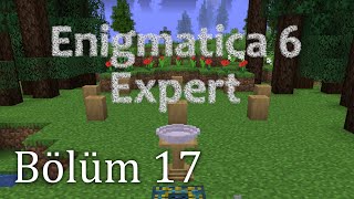 Natures Auraya Giriş  Enigmatica 6 Expert  Türkçe Bölüm 17 [upl. by Odnamra]