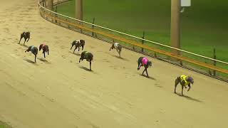 Rockhampton04092024Race11 [upl. by Ys]