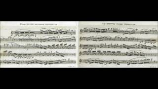 František Krommer  Concerto for 2 Clarinets Op 35 [upl. by Flss]