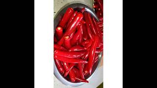 pandu mirchi pachadi  red chilli pickle [upl. by Anisirhc]