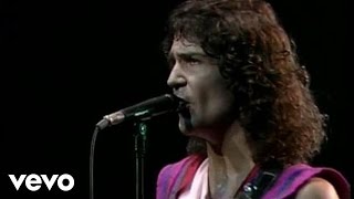 Billy Squier  Everybody Wants You Live [upl. by Iila]