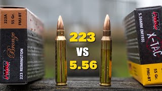 223 vs 556  Whats the Difference [upl. by Cirenoj]