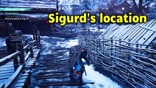 Find and speak to Sigurd Assassins Creed Valhalla Birthrights Quest [upl. by Ahsoet]