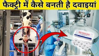 फैक्ट्रियों में कैसे बनता है दवाइयां  Medicine making process in Factory in Hindi [upl. by Penhall]