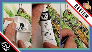 Watercolor and White Gouache  ShinHan Pass HYBRID PAINT Review [upl. by Garland]