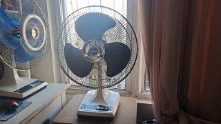 Lasko 16quot Desk Fan 3151 Early 90s [upl. by Lladnik]