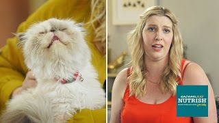 People Who Hate Cats Live With Cats For A Week  Presented By BuzzFeed amp Rachael Ray Nutrish [upl. by Mastic]