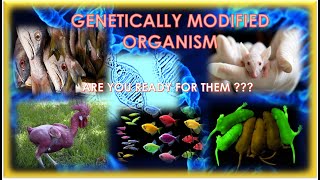 GENETICALLY MODIFIED ANIMALS Weird but real [upl. by Ahsenra]