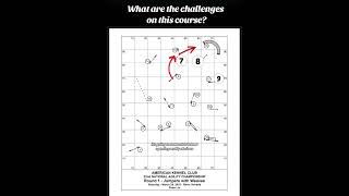 AKC Nationals 2018  JWW Course Breakdown amp Analysis [upl. by Notsruht]