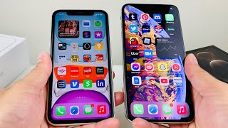 iPhone 11 vs iPhone XS Max Which Should You Buy [upl. by Zeuqirdor852]