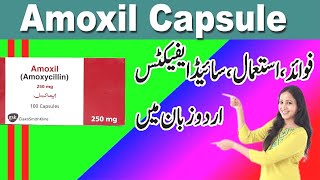 Leflox Tablet Used For In Urdu  Leflox Tablet 250mg500mg [upl. by Llenram]