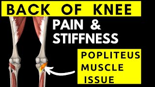 Back of knee painstiffness Popliteus muscle tightness [upl. by Gerick963]