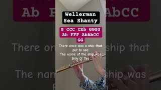 Wellerman Sea Shanty for flute [upl. by Salta]