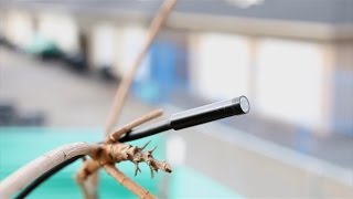 Affordable Borescope Endoscope Snake Camera for Android or PC Devices Review [upl. by Meunier5]