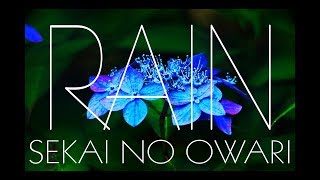 SEKAI NO OWARI「RAIN」【歌詞付き】cover [upl. by Falito]