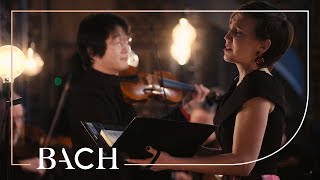 Bach  Jauchzet frohlocket from Christmas Oratorio BWV 248  Sato  Netherlands Bach Society [upl. by Nalrah]