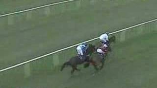 King Harald wins at Fakenham [upl. by Namrak]