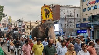 Thiruvambady valya chandrasekharan memorial day  May 15th  Thrissur round procession [upl. by Derrik]