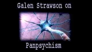 Galen Strawson on Panpsychism [upl. by Jereld]