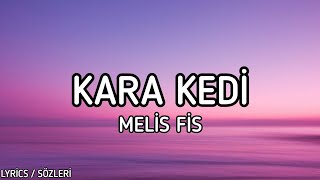 Melis Fis  Kara Kedi Lyrics  Sözleri [upl. by Whitford208]