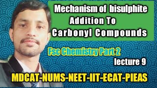 Addition of Sodium Bisulphite to Carbonyl CompoundsBisulphite Adduct By Umar Abbas [upl. by Horner]