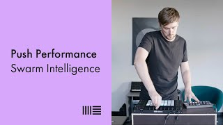 Swarm Intelligence Push 2 Performance [upl. by Mota]