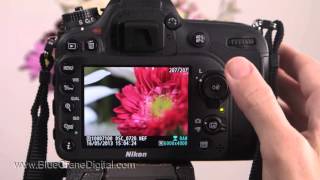 Introduction to the Nikon D7100 Basic Controls [upl. by Akahs]