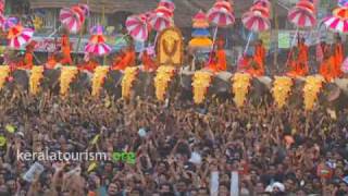 Thrissur Pooram Kerala [upl. by Eyanaj]