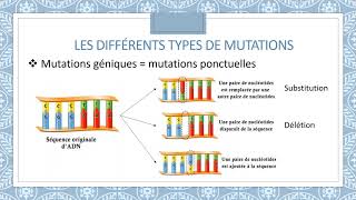 Mutations et systèmes de réparation de lADN [upl. by Adnowal]