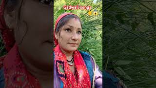 न्यू गढ़वाली सॉन्ग🌹Mamta negi vlogs uttrakhandi🌺shortvideos uk song youtobeshorts gadwali🌹 [upl. by Lavona295]