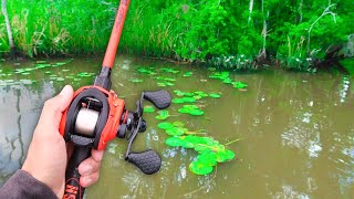 RECORD Day of FROG Fishing LOADED w GIANT Bass [upl. by Moorish]