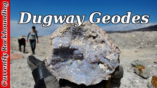 Visiting the Dugway Geode Beds  Rockhounding Utah [upl. by Iggie]