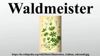 Waldmeister [upl. by Sillyrama653]