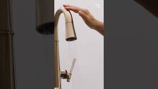 Touch2O® Technology  Delta Faucet [upl. by Henebry130]