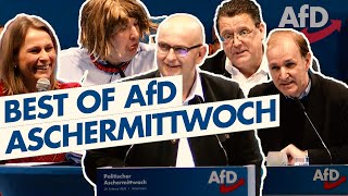 Best of Aschermittwoch der AfD [upl. by Quiteri226]