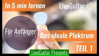 Tutorial  Gitarren Plektrum P13  Das perfekte Plektrum für Rhythmus Gitarre für Anfänger [upl. by Ellenrahc]