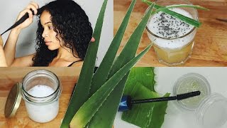 Verwendungen von Aloe Vera » DIY Brow Gel LeaveIn Conditioner Wellness Drink amp mehr [upl. by Mure]