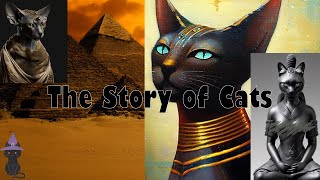 The History of Cats From Ancient Egypt to Modern Times [upl. by Bronwyn532]